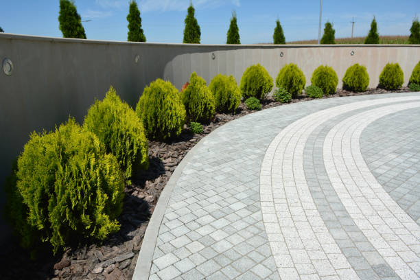 Reasons to Select Us for Your Driveway Paving Requirements in Pleasant Hills, MD